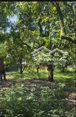 cơ hội lớn: cc bán gấp 2 thửa đất gần 2ha la ngà đồng nai, gần kcn & khu dân cư, sổ riêng từng lô!