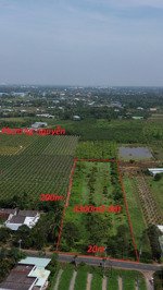 bán 4300m2 đất lúa mặt tiền nguyễn thông long an mặt tiền 20m quy hoạch thổ cư, giá 4.5 tỷ