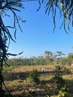 tôi chính chủ cần bán lô đất km44 . dt: 7 x 40 tc : 60m2, cách ql14 , 500m , giá 330tr