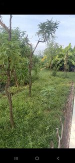 em chính chủ bán đất full thổ cư tại ấp giồng ông lãnh 1, xã tăng hòa, huyện gò công đông, tỉnh tg