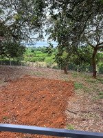 vườn điều cổ thụ view hồ trị an - cách nhựa 200m - cách tphcm 60p di chuyển