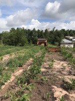 chính chủ kẹt tiền bán gấp đất ven biểnđườngql55-gần hồ tràmhồ cóc sát bên suối nước nóng bình châu