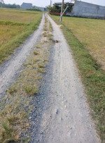 chủ kẹt tiền cần bán gấp 300m2 - shr chính chủ 900tr