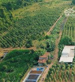 bán đất rạch vẹm, gành dầu, phú quốc, 1,7 tỷ, 1000 m2, đẹp, cách biển 4km