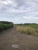 bán nhanh lô đất đẹp mặt tiền đường giao thông bàu cạn, long thành