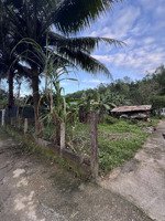 bán đất ở tại thôn đại la (phường hoà khánh nam mới)