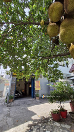 hẻm xe hơi - gần mt lý thường kiệt - giáp quận 10 - 4 tầng btct - 6 phòng - 15tr/th - 6.28 tỷ