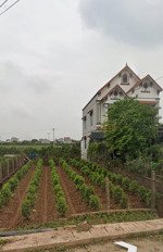 bán đất 5m mt, đường bê tông 7m ở xã đông tảo, sát chợ, gần chân cầu ngọc hồi, 15'' tới vin