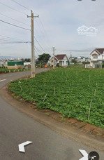 chính chủ bán đất có 300m2 thổ cư thị trấn liên nghĩa, đức trọng, lâm đồng