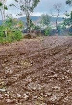 bán quỹ đất xanh nghỉ dưỡng, p5, đà lạt, lâm đồng, 55 tỷ
