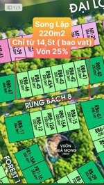 bt rừng bách 10x22 chiết khấu dòng tiền 10%. hỗ trợ vay lãi 0% trong 24t. quà tặng 100tr + 0,5%