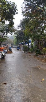 chủ chuyển nhà bán gấp diện tích: 50m2 kết cấu: 3 tầng mặt tiền 4m