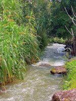 đất vườn giá rẻ sẵn vườn trái cây đẹp thuộc xã la ngà, định quán, đồng nai