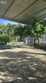 Nhà vườn thổ cư ven thành phố siêu rẻ