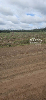 đất ngay đường tuyến 2 xã tân lợi, shr