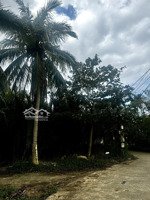 chính chủ cần bán lô đất view dừa gần ngay đường trần nhân tông