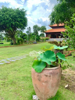 chuyển nhượng khu nghỉ dưỡng và viện dưỡng lão đang hoạt động tại tiền giang, 2ha, đầy đủ tiện ích