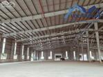 Cho thuê xưởng 19.000m2 giá chỉ 1,17 tỷ (4,3usd/m2 NX) KCN Nhơn Trạch-Đồng Nai