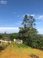 900M2 ĐẤT TẢN ĐÀ, PHƯỜNG 1, BẢO LỘC KẾ BÊN HOMESTAY - VIEW DỰ ÁN SUN VALLEY