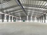 CHO THUÊ KHO XƯỞNG TÂN KIÊN, BÌNH CHÁNH 1600M2- ĐƯỜNG CONT 24H