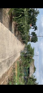 chính chủ bán gấp lô đất thổ 5x46m xã an lục long, long an