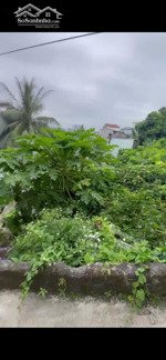 bán đất tại bạch đằng, hạ long, quảng ninh, 1,6 tỷ, 78,5 m2, giá cực chất đẹp