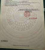 bán đất mặt tiền hồ văn mên vừa ở vừa kinh doanh giá tốt