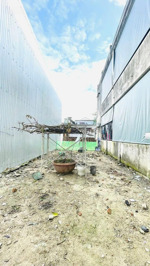 tôi chính chủ cần bán lô đất kiệt tôn đản , hòa phát,cẩm lệ