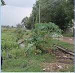 đất - nguyễn thị rành - áp bàu tròn xã nhuận đức - củ chi 820m2, thổ cư 254m2 - nhà cấp 4