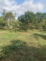 bán mảnh đất thổ cư thuộc xã xuân tâm (cũ) nay thuộc xã xuân hòa ( mới)