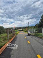 đất tp.hcm 210,4m2 100m2tc giá 420tr ngay đường tạo lực shr