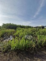 bán lô đất hẻm đường rừng sác, xã bình khánh, cần giờ, dt 322m, giá 1,25 tỷ