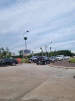 khu đấu giá bạch đa giá tốt nhất thị trường - 100m -lh: 