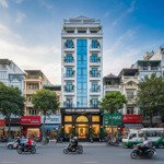phố láng hạ, khu vực văn phòng cafe sầm uất, 136m2, mặt tiền đẹp 8.5m, kinh doanh ổn định.