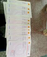 ĐẤT NỀN MẶT TIỀN ĐƯỜNG HƯƠNG LỘ 9- NGÃ 4 TÂN TRIỀU -SỔ HỒNG THỔ CƯ -370TR NHẬN ĐẤT