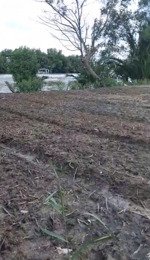 siêu phẩm mặt tiền sông 700m chính chủ bán gấp tại long hậu, long an! 