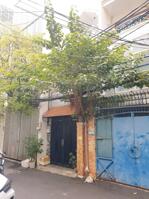 Bán Gấp Nhà 1 Trệt 2 lầu 62m2 Lê văn Sỹ: Vip Nhất Quận 3 - Hẻm xe tải- Chỉ 12.5 tỷ