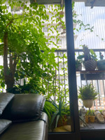 bán cc đẹp golden west, 7,2 tỷ, 83m2, 2pn, 2wc, nhiều tiện ích tại thanh xuân, hà nội