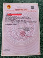 lô đất 300 triệu 195m2 định an, bình dương cực hời