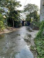 CẦN BÁN GẤP ĐẤT THẠNH XUÂN 25, QUẬN 12