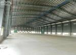 CHO THUÊ NHÀ XƯỞNG NGOÀI KCN ĐỨC HÒA, LONG AN 4200M2- PCCC TỰ ĐỘNG- ĐIỆN 1000KVA- ĐƯỜNG CONT