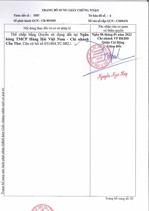 công ty đấu giá hợp danh sao việt đang đấu giá tài sản