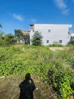 đất thổ cư chưa qua đầu tư.mua định cư gần phố cổ