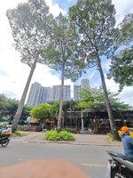 quận 10 - hai mặt tiền tô hiến thành - dtcn 134.1m2 - gần big c, bv 115, đh bách khoa - 43 tỷ