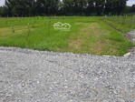 chỉ 799 triệu cho 100m2chính chủ cần bán gấp lô đất đẹp tại phước hiệp
