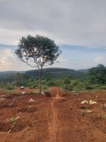 cần bán gấp cuối năm giảm giá sâu 50% để trả nợ , đất đắk rlấp, tỉnh đắk nông (cũ), giá rẻ bán ngay