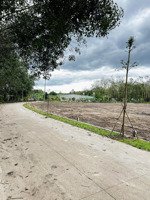 đất nền chính chủ, an linh - hcm dân cư đông đúc