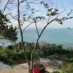 đất trống chủ cần tìm chủ nhân, tìm nhà đầu tư thiên thần