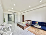 cho thuê căn hộ 1 phòng ngủ tách bếp ban công full nội thất đường tân sơn - phường 12 - gò vấp