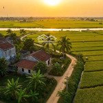 bán lô nhà vườn sát đường dh2 view lúa có 100m2 thổ